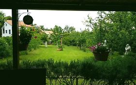 Greenhill